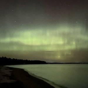 Meet your Posher, Arianna